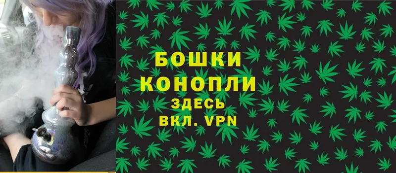 наркотики  Заволжск  Конопля SATIVA & INDICA 